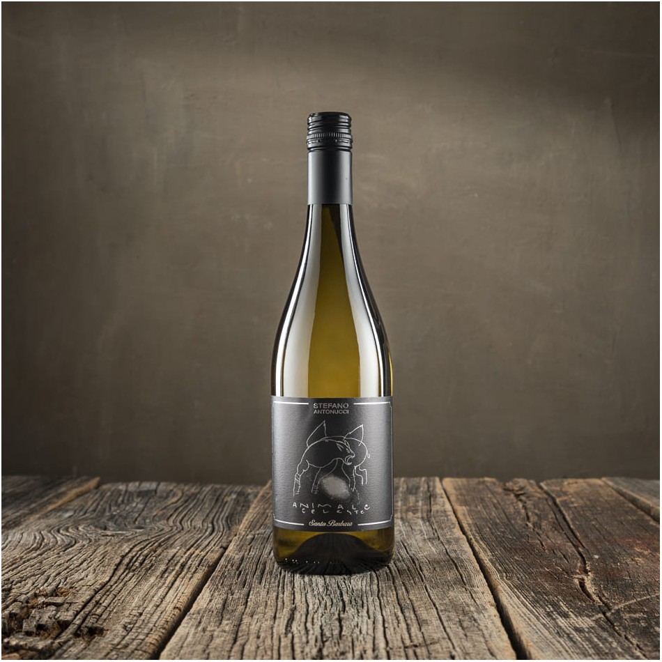 "Animale Celeste" Sauvignon - Santa Barbara