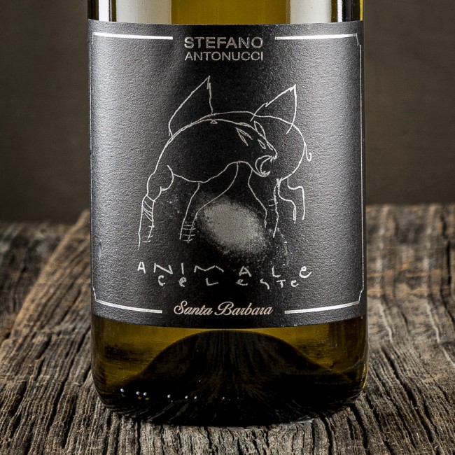 "Animale Celeste" Sauvignon - Santa Barbara