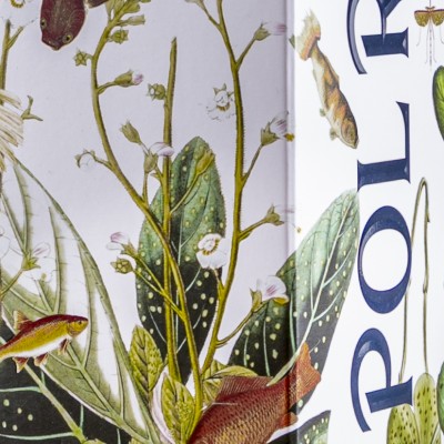 Bottiglia di Champagne Brut Réserve – Pol Roger dettaglio del cofanetto