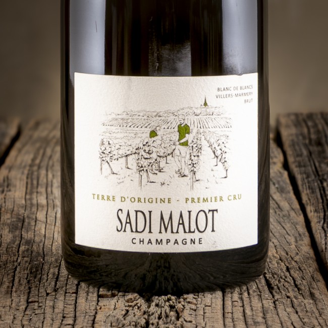 Champagne Brut Blanc de...