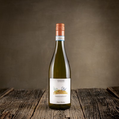 Bottiglia di Verdicchio dei Castelli di Jesi DOC "Stè" - Santa Barbara