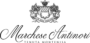 Marchese Antinori – Tenuta Montenisa